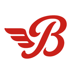 bayflyer.com favicon